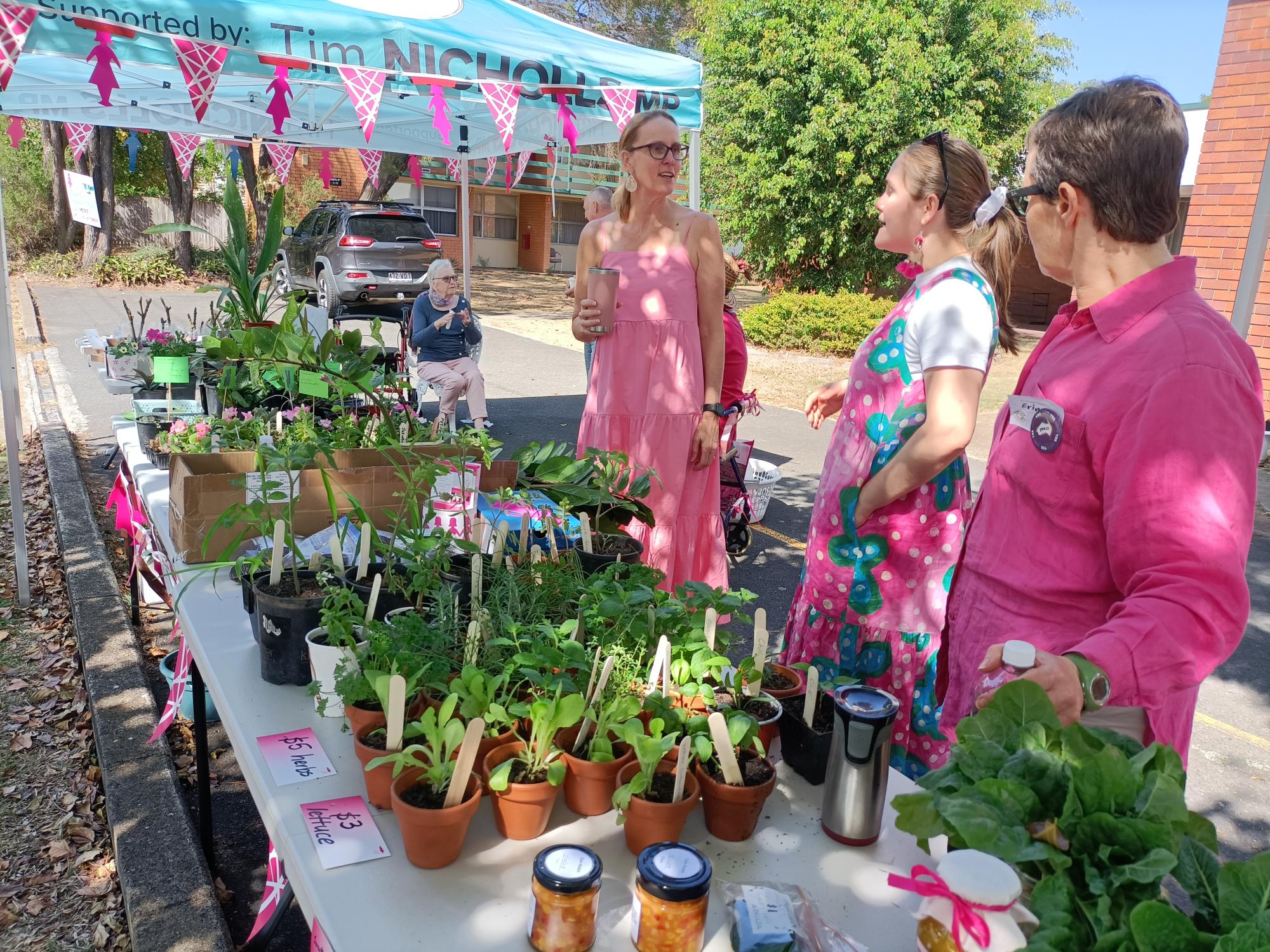 Community Pink Morning - Plants and Produce Stall